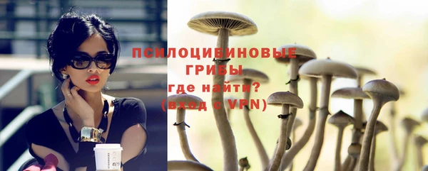 крисы Верхний Тагил