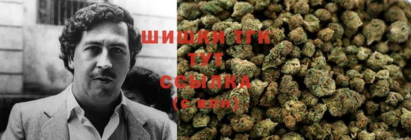 крисы Верхний Тагил