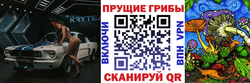 Галлюциногенные грибы Cubensis  mega как зайти  Балашиха 